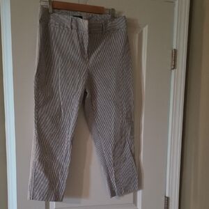 Ann Taylor Navy and White Striped Pants